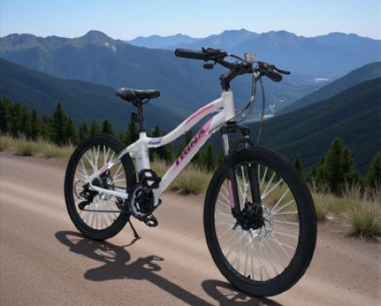 صورة دراجة جبلي المنيوم مقاس 24 - أبيض